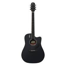 Đàn Acoustic Rosen G12 NEO