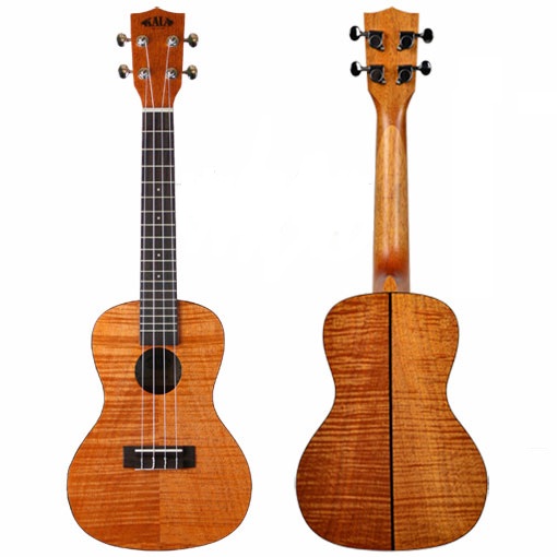 cách gảy đàn ukulele